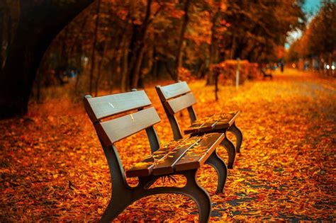 Foliage I Luoghi Migliori In Cui Ammirare I Colori Dell Autunno