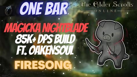 Eso One Bar Magicka Nightblade Magblade K Dps Pve Build Ft