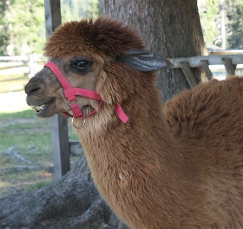 Links Archives Naked Capitalism