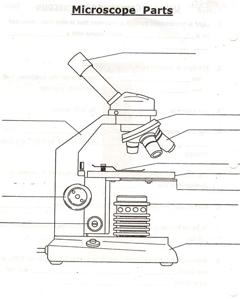 parts of the microscope quizlet : Biological Science Picture Directory ...