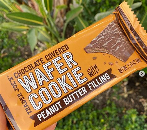 Trader Joe S Chocolate Covered Wafer Cookie With Peanut Butter Filling