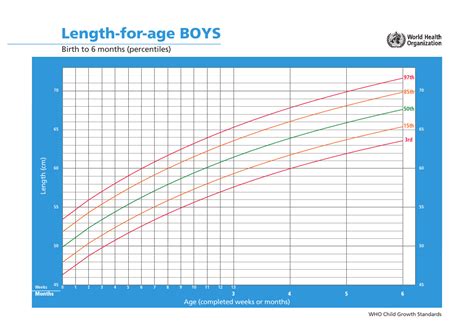 Who Boys Growth Chart Length For Age Birth To 6 Months Percentiles