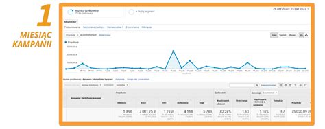 Roas Na Poziomie W Trzy Miesi Ce Prowadzenia Kampanii Google Ads
