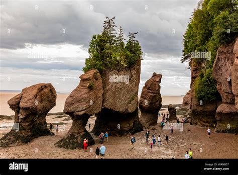 Hopewell Rocks New Brunswick Stock Photo Alamy