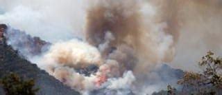 The World Massive Wildfire In California Forces Evacuations Know Afrika