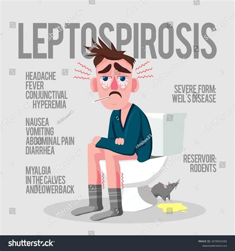 Leptospirosis Illustration Infographic Signs Symptoms Clinical Stock