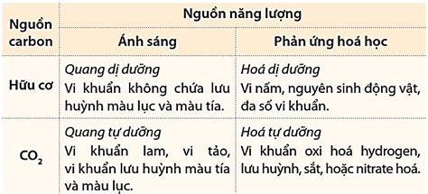 Sinh học 10 Cánh diều Ôn tập chủ đề 9 Vi sinh vật