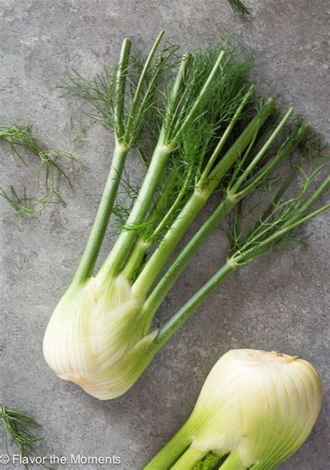 Produce Of The Month Guide Fennel Is An Informative Guide On Including