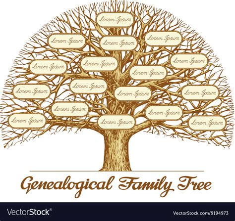 A Genealogy Guide