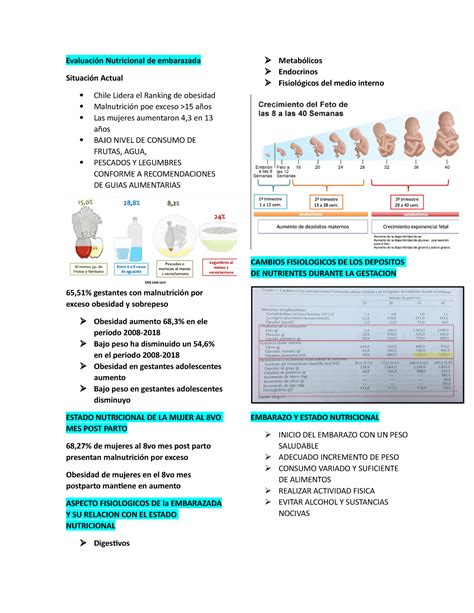 Evaluaci N Nutricional De Embarazada Evaluaci N Nutricional De