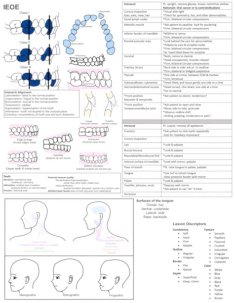 Intraoral Extraoral Exam Ioeo Eoio Ieoe Study Guide Reference