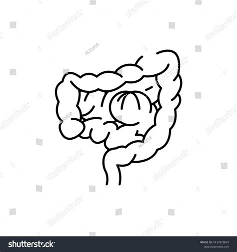 Intestinal Obstruction Color Line Icon Human Stock Vector Royalty Free