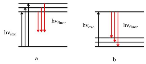 9 Schematic Representations Of A Fluorescence Excitation Spectroscopy Download Scientific