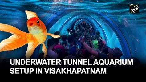 Underwater Tunnel Aquarium Setup With 500 Varieties Of Fish In