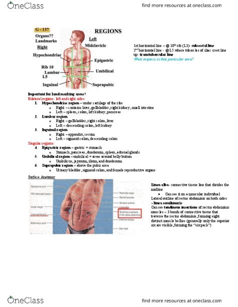 Anatomy And Cell Biology Lecture Notes Winter Lecture