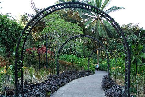 Singapores National Orchid Garden Strolling Along Arched Pathways Photo