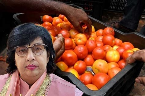 Tomato Price Hike If You Stop Eating Tomatoes Prices Will Come Down