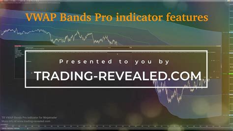 TR VWAP Bands Pro Indicator For Ninjatrader Presentation YouTube