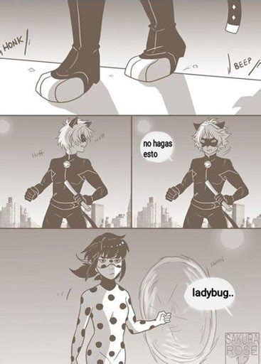 Comic Ladynoir 8 •miraculous Ladybug Español• Amino