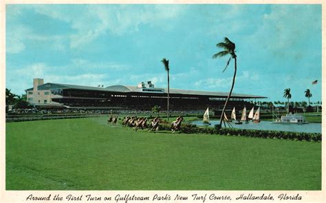 Vintage Postcard Around First Turn Gulfstream Parks Turf Course