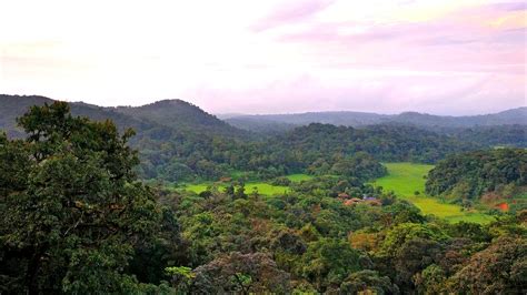 Taj Madikeri Resort & Spa, Coorg – Activities | Currylines – Caroline's