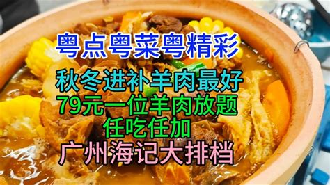 粤点粤菜粤精彩，秋冬进补羊肉最好， 79元一位羊肉放题任吃任添加，广州海记大排档，粤语中字幕2023 12 19 Youtube