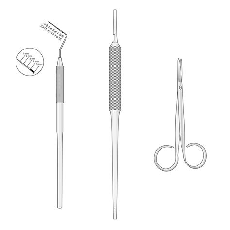 Caja B Sica De Instrumental Para Realizar Cirug A Oral