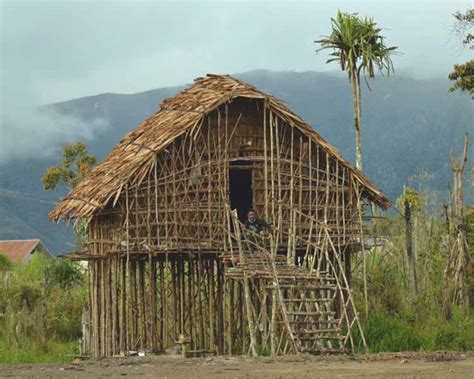 2+ Rumah Adat Papua Barat : Nama, Gambar dan Penjelasan