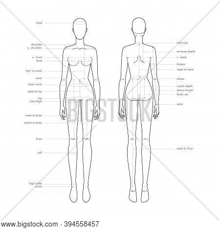 Women Body Parts Vector Photo Free Trial Bigstock