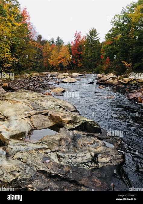 Foliage in New England Stock Photo - Alamy