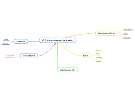 Determinantes De La Salud Mind Map