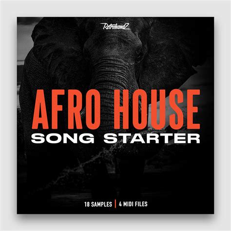 Afro House Song Starter - retrohandzmusic.com