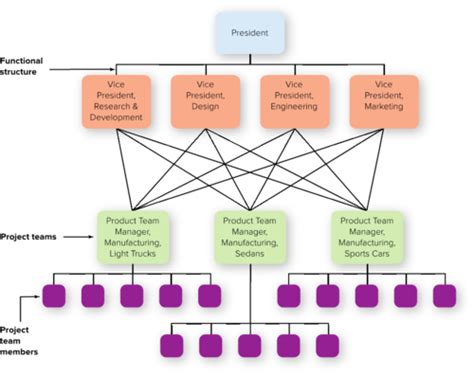 Chapter 8 Organizational Culture Structure And Design Flashcards