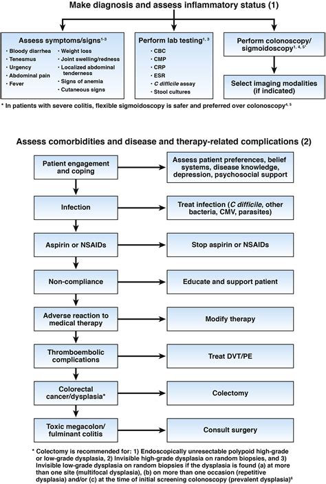 Ulcerative Colitis Care Pathway Gastroenterology