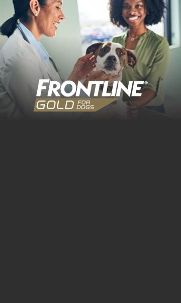 FRONTLINE® Gold for Dogs | Triple Action Flea and Tick Treatment