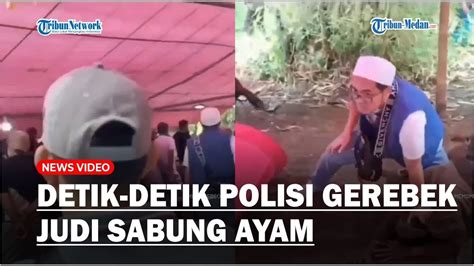 Detik Detik Polisi Gerebek Judi Sabung Ayam 15 Orang Ditangkap Youtube