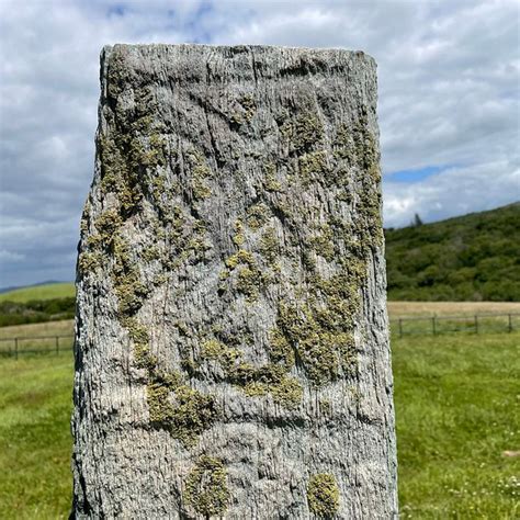 Kealkill Megalithic Stone Circle And Standing Stones Bantry All You