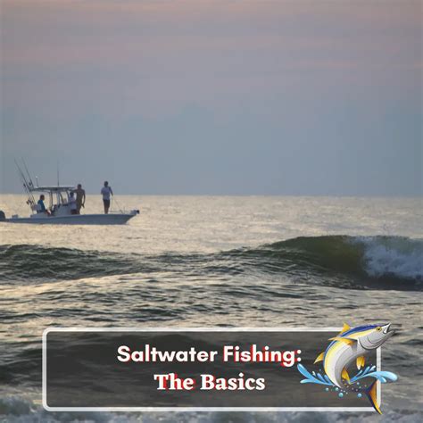 Introduction To Saltwater Fishing L A Fellow Fisherman