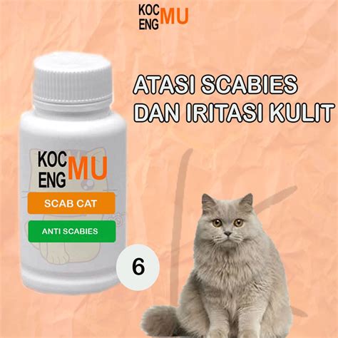 Jual Obat Scabies Kucing Scabies Kucing Paling Ampuh Kocengmu Capsul