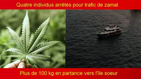 Quatre Individus Arr T S Pour Trafic De Zamal Plus De Kg En