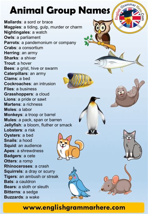 Names for Groups of Animals, Definition and 90 Animals Names Group List Names for Groups of ...