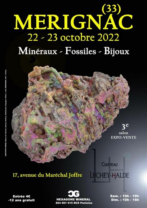 E Salon Mineraux Fossiles Bijoux De Merignac Gironde Enfant