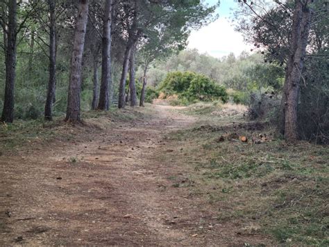 La Brigada Emerge De Sant Mateu Executa Tasques De Desbrossament