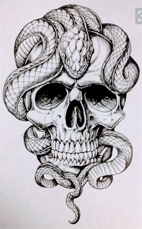 Skull And Snake Lineart Skull Tattoo Design Snake Drawing Skulls