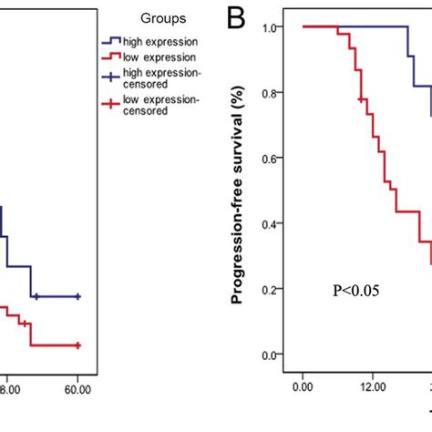 Association Between Lncrna Enst00000500843 And Progression Of Lung