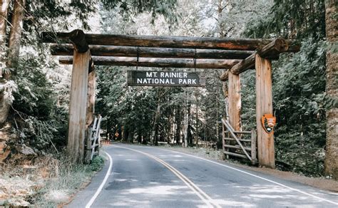 Family Camping at Mount Rainier National Park {Washington} | Rain and Pine