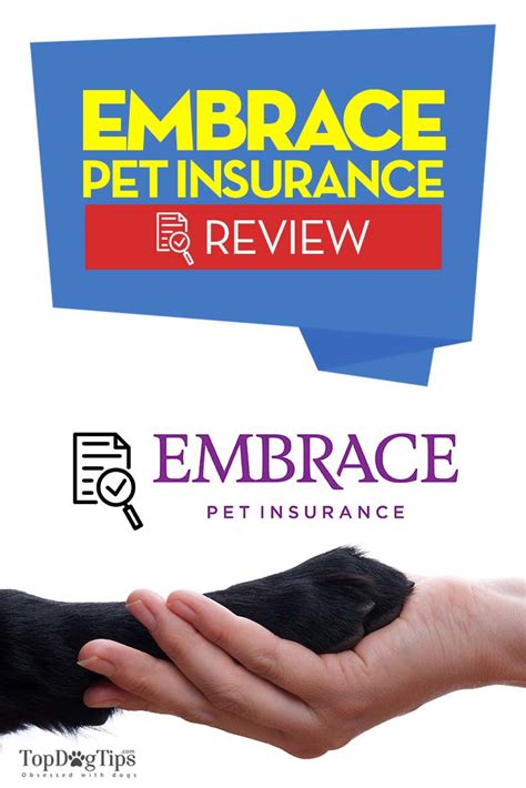 Embrace Pet Insurance Reviews (2018): Is It Worth It?