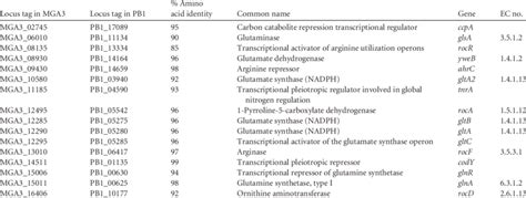 Genes involved in glutamate synthesis and metabolism | Download Table