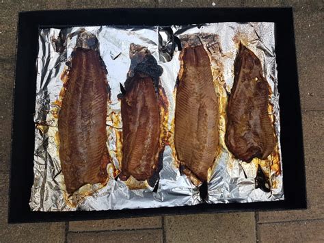 Unbeatable Smoked Trout Recipe 6 Simple Steps Simply Meat Smoking