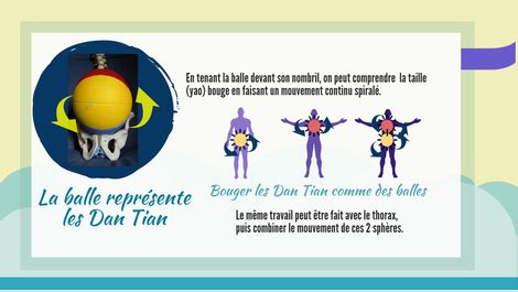 Balle Les Compagnons Du Taijiquan